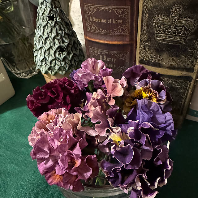 mamizaさんの部屋