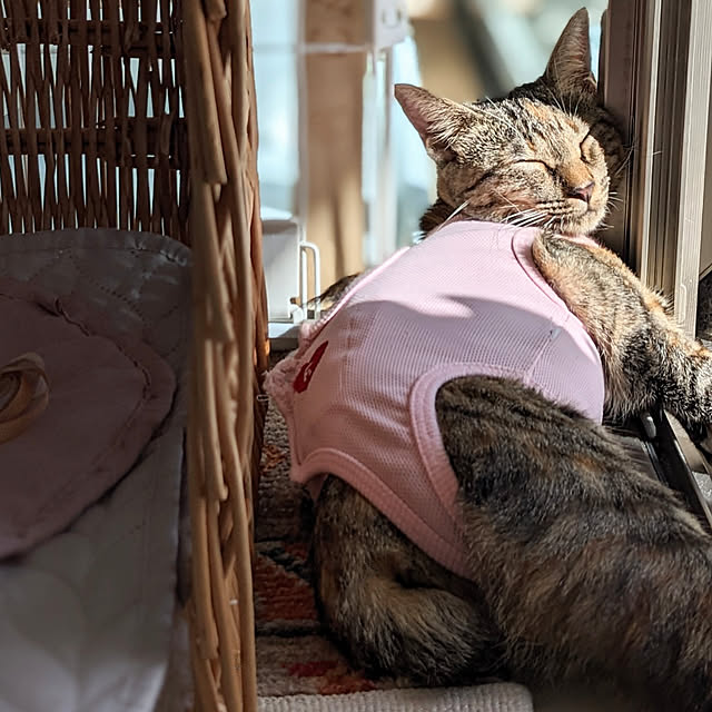 flannel.さんの実例写真