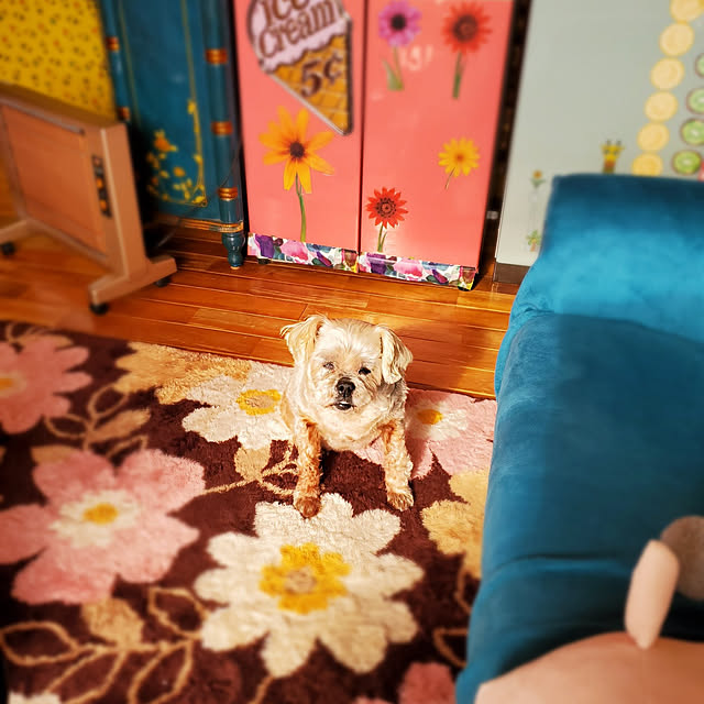 kumutanさんの実例写真