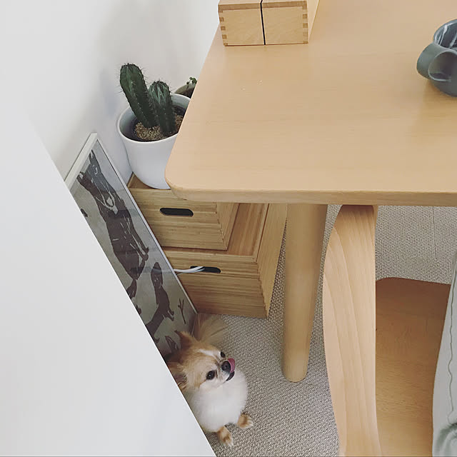 haruhinaさんの実例写真