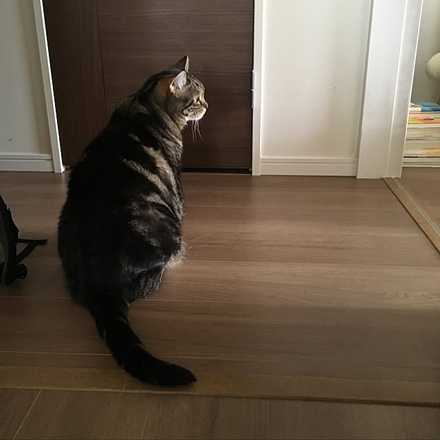mikomaruさんの実例写真
