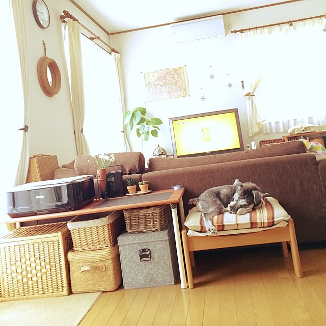 tamaharuさんの実例写真