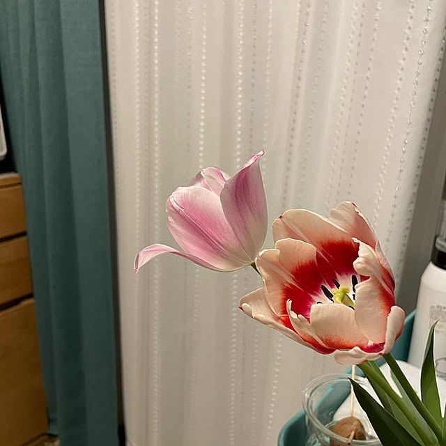 mizuuさんの実例写真
