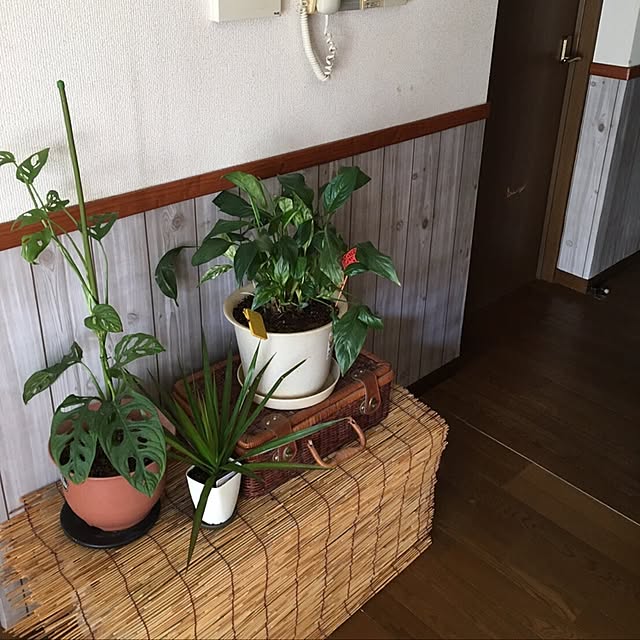 wakewakaranさんの実例写真