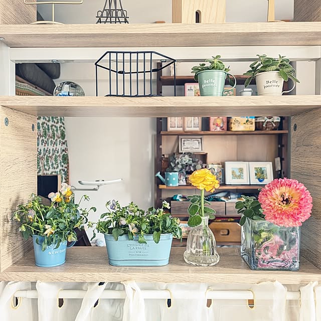 mi-saさんの実例写真