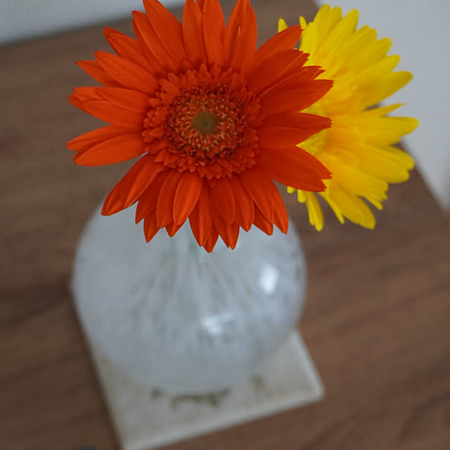 kinokinoさんの部屋