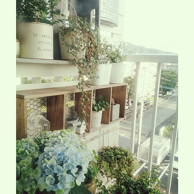 miporin0711さんの実例写真