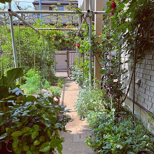botanさんの実例写真