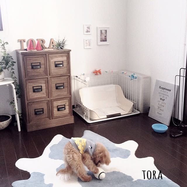 risaさんの実例写真