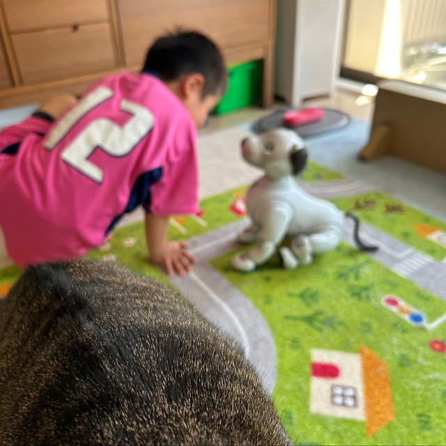 mikomaruさんの部屋