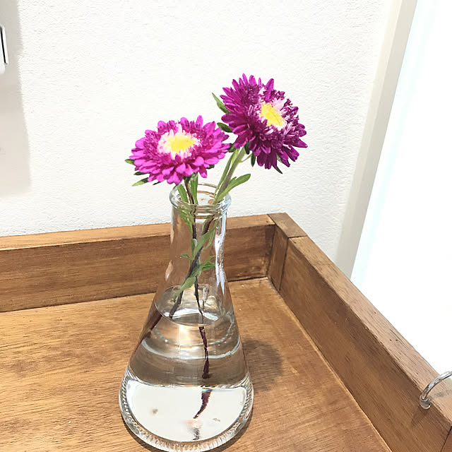 chi-toさんの実例写真