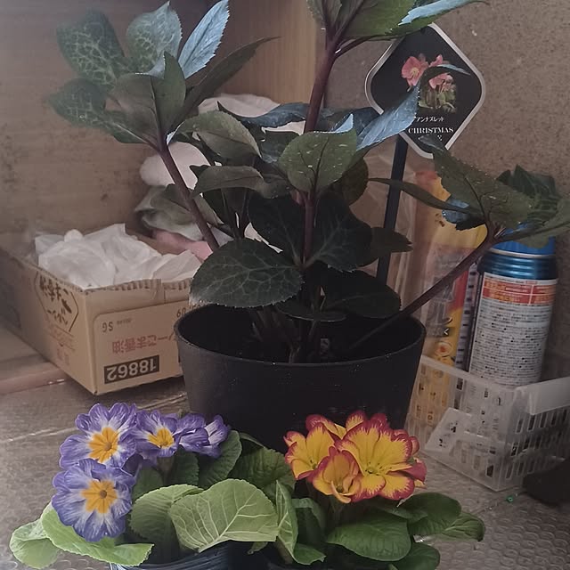 hiro.904さんの実例写真