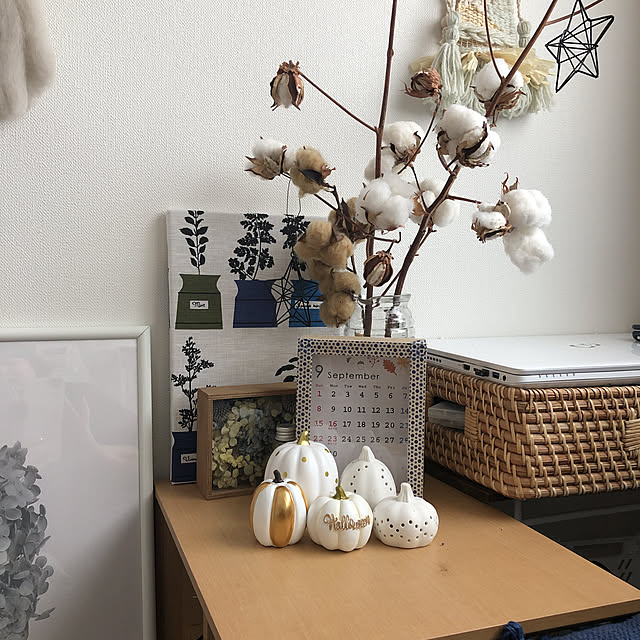 loliontoaliceveさんの実例写真