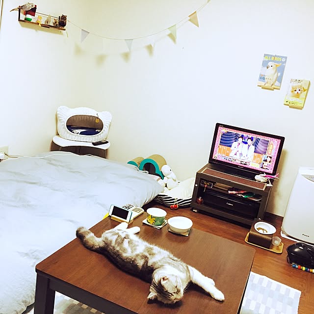 narashimhaさんの実例写真