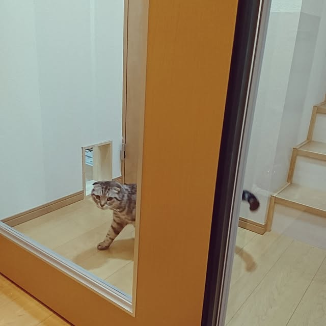 nyan5さんの実例写真