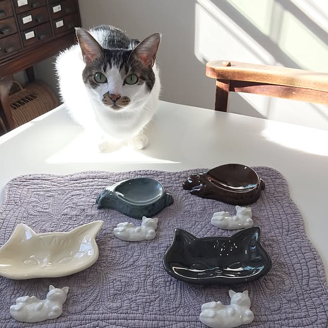 yuchiさんの実例写真