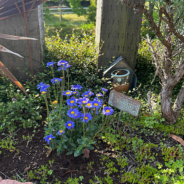 1TAさんの実例写真