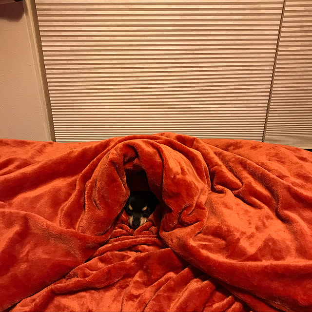 nさんの実例写真