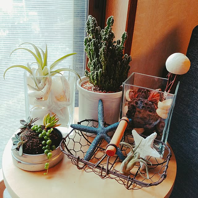 gonuku444さんの実例写真