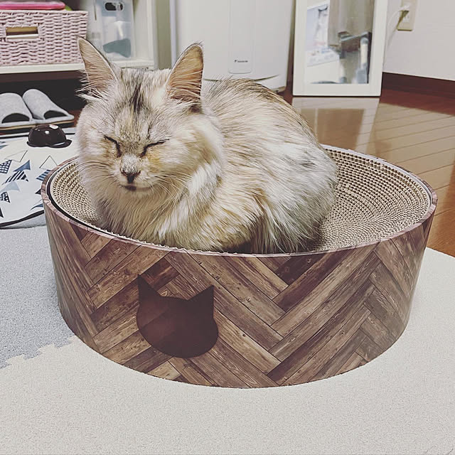 chachaさんの実例写真