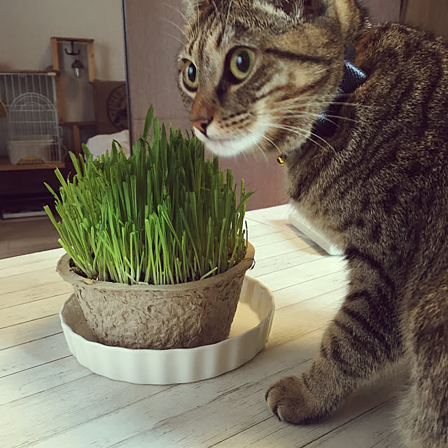 Mさんの実例写真