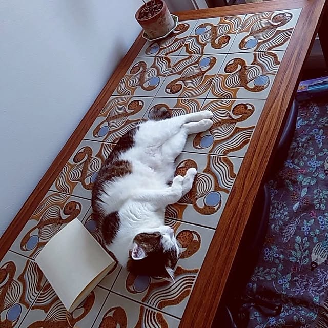 yuki1004さんの実例写真