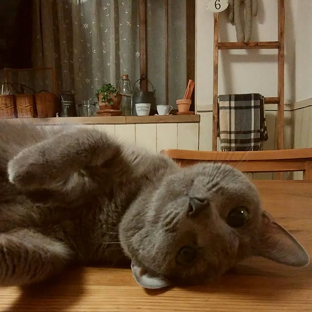 tomo1220さんの実例写真