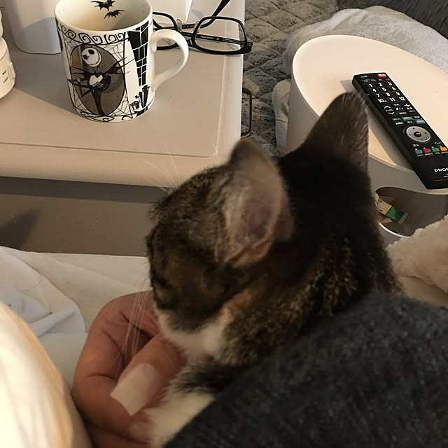 Shihoさんの実例写真