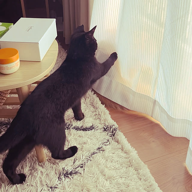 junさんの実例写真