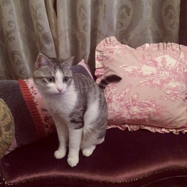emmyyさんの実例写真