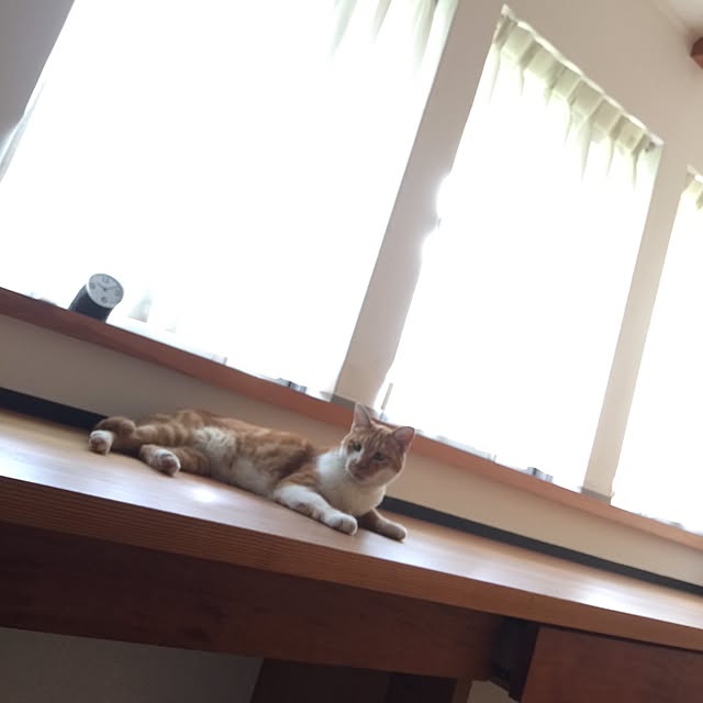 gguuiiさんの実例写真