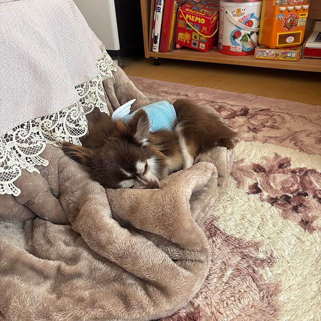 chIoeさんの実例写真