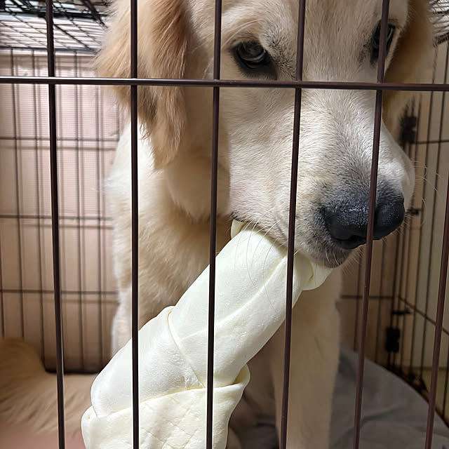 y.frvr.ks-lvyuiさんの部屋