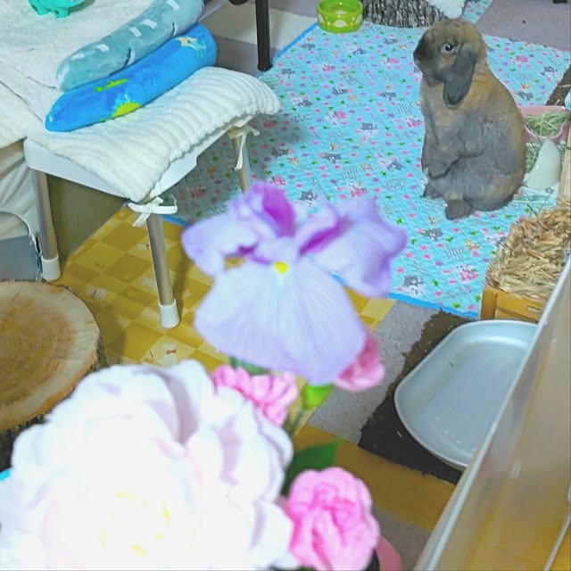 mariaさんの部屋