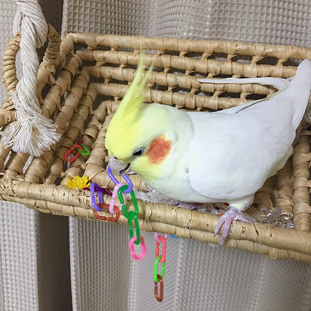 toratanさんの実例写真
