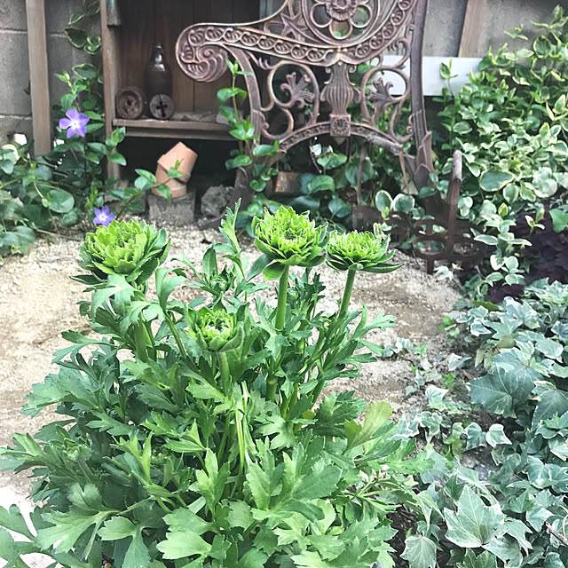 bibianさんの実例写真
