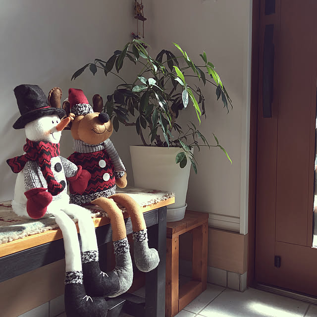 cocoaさんの実例写真