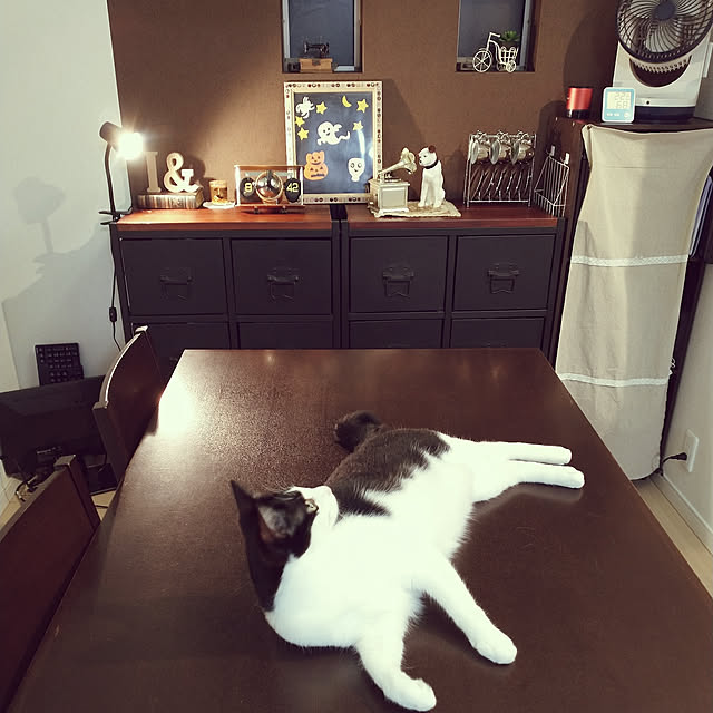 suisaiさんの実例写真