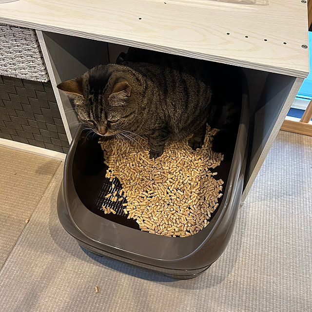 saeさんの部屋