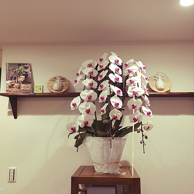 Kazukoさんの実例写真