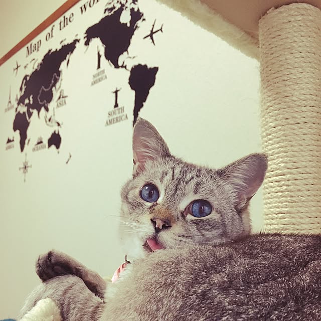 nmcさんの実例写真
