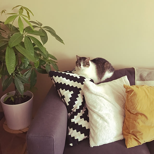 Keiさんの実例写真