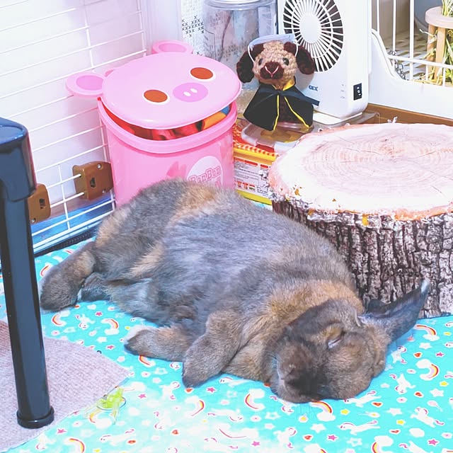 mariaさんの実例写真