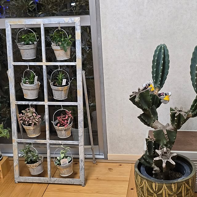 kunyさんの実例写真