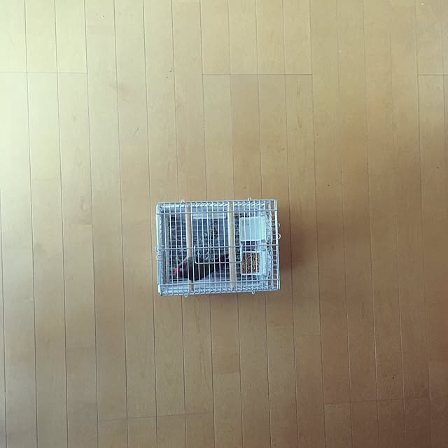 tomさんの実例写真