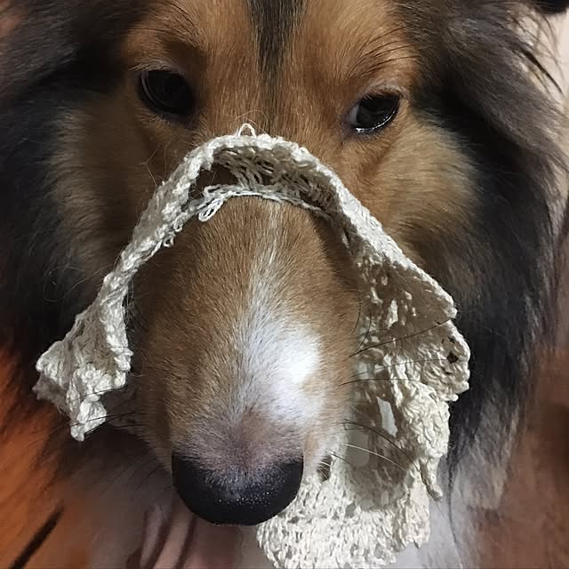miiさんの実例写真