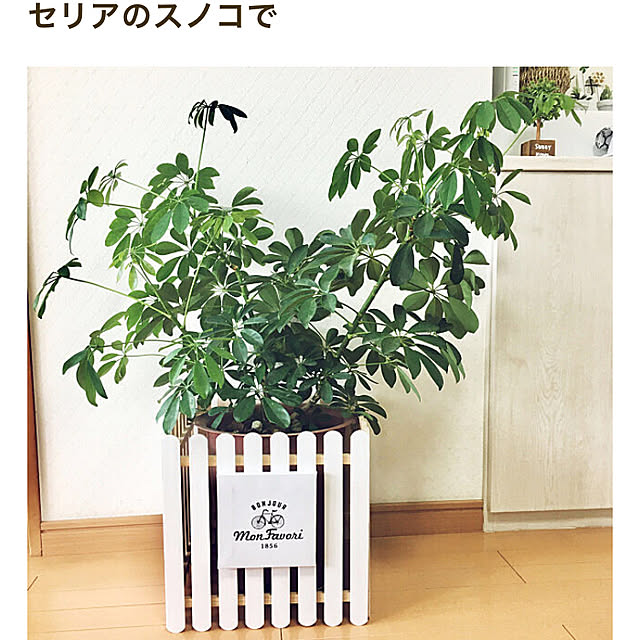 yukimaruさんの実例写真
