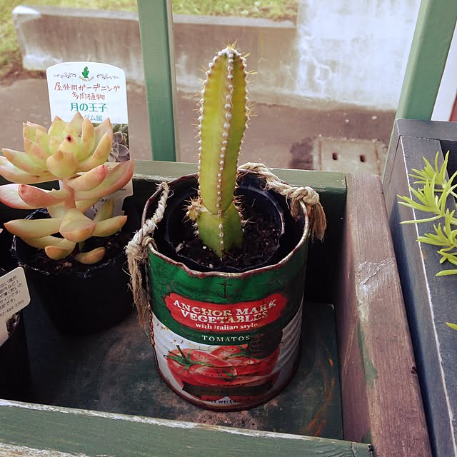 実例写真
