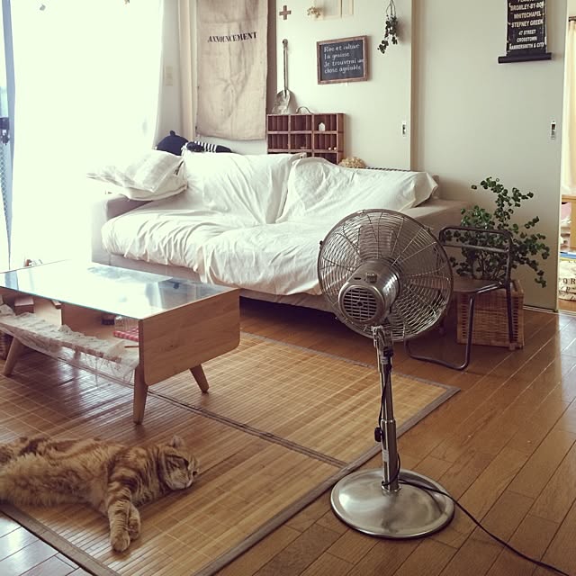 fu-toraさんの実例写真