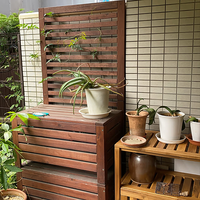 yasukoさんの部屋
